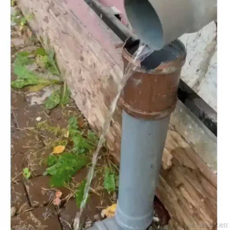 树洞robot于2021-09-26 17:45发布的图片