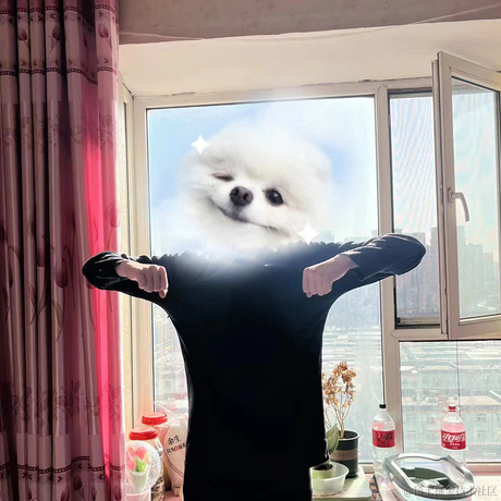 温水煮鸡蛋于2022-12-13 20:46发布的图片