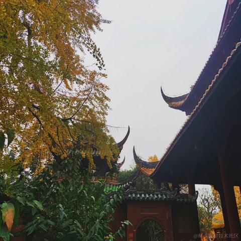 花折亦无情于2022-11-26 21:49发布的图片