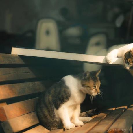 程序员时光于2023-04-15 22:52发布的图片