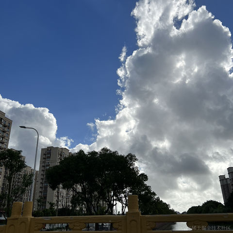 矢车菊于2023-07-17 14:13发布的图片