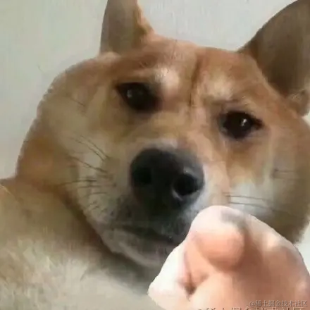 不我才是真的小白于2022-02-23 14:27发布的图片