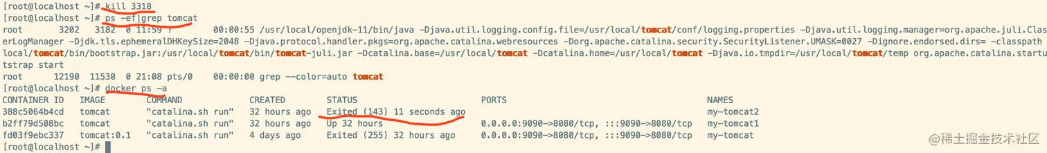 Docker -- Namespace、Cgroups实战-2.png
