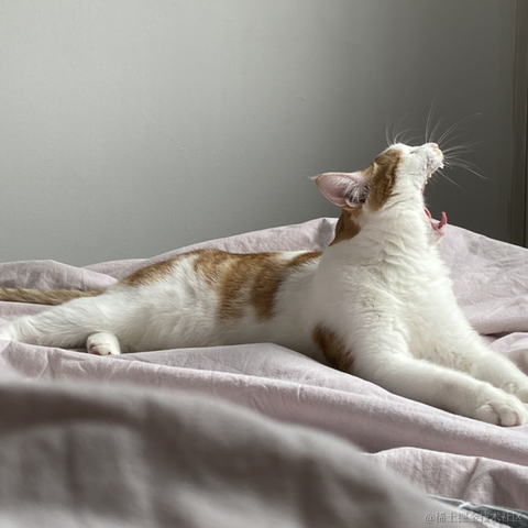 爱吃涮羊肉的Bug开发于2021-10-15 16:26发布的图片