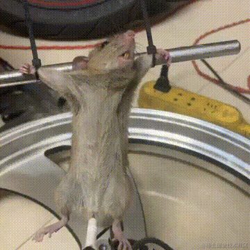 琪官于2021-06-25 09:18发布的图片