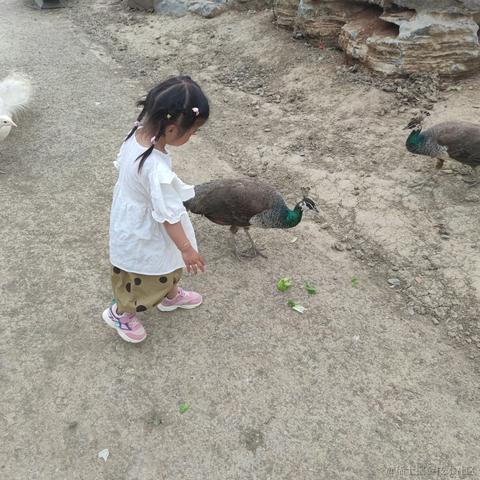 一依不舍于2023-05-02 21:46发布的图片