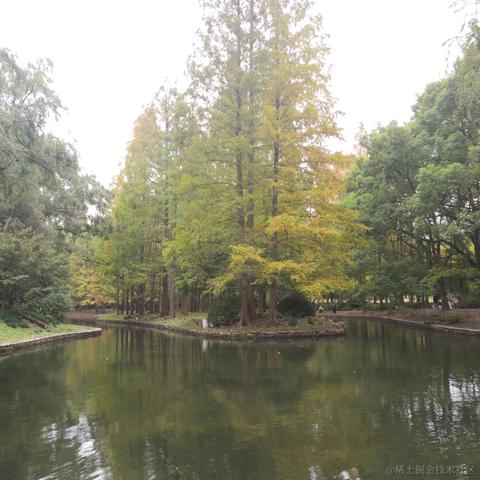 Aka_senyan于2022-11-13 21:13发布的图片