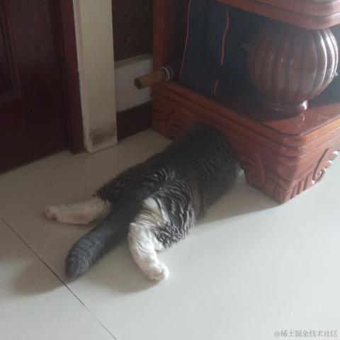 远离那小猫于2022-11-24 19:06发布的图片