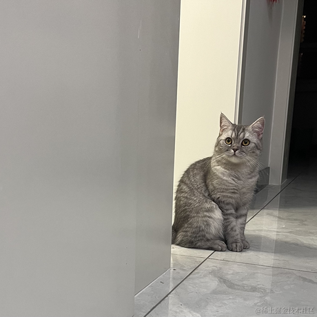 进阶的小叮当于2023-05-25 00:57发布的图片