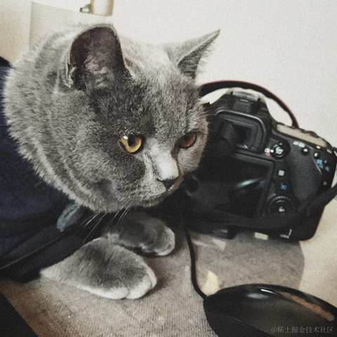 月球背面于2023-05-14 14:45发布的图片