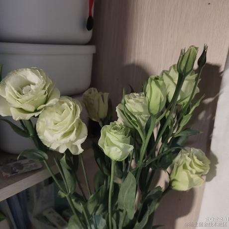 晚晚是个小哭包于2022-11-14 12:58发布的图片