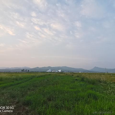 tyaa于2021-09-28 19:37发布的图片