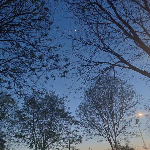 天空之城53于2023-04-27 08:54发布的图片