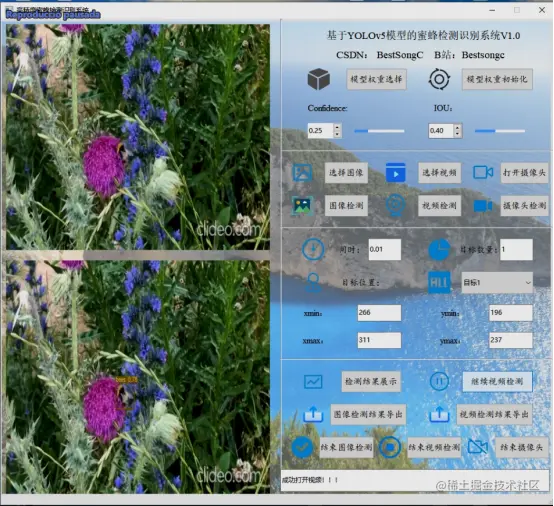 高精度蜜蜂检测识别系统2576.png