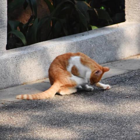 张2公子于2022-08-27 16:44发布的图片