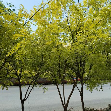 bthh于2023-05-08 08:04发布的图片
