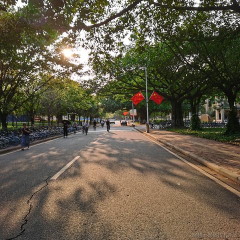 Yj家的孺子牛于2022-10-04 23:35发布的图片