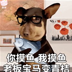 9527777于2022-06-02 16:22发布的图片