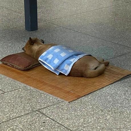 孤独的旅人于2022-11-12 18:56发布的图片