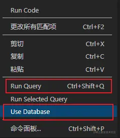 vscode插件查询.png