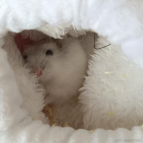 敲敲敲敲暴你脑袋于2023-10-24 12:33发布的图片