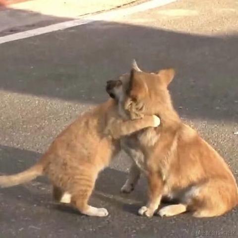 Having于2021-10-29 10:14发布的图片