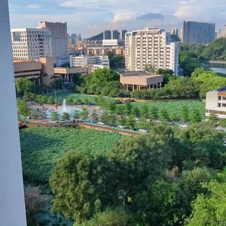 向晚大猪猪于2023-06-27 22:22发布的图片