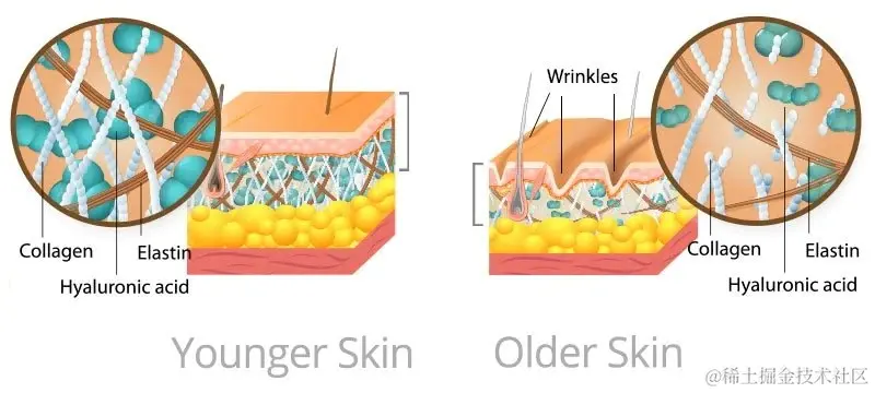 younger-vs-older-skin-chart-e1501632190452.jpg
