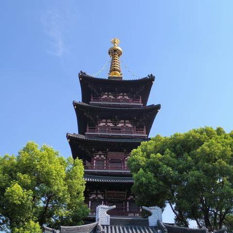 ma77于2023-08-16 12:08发布的图片
