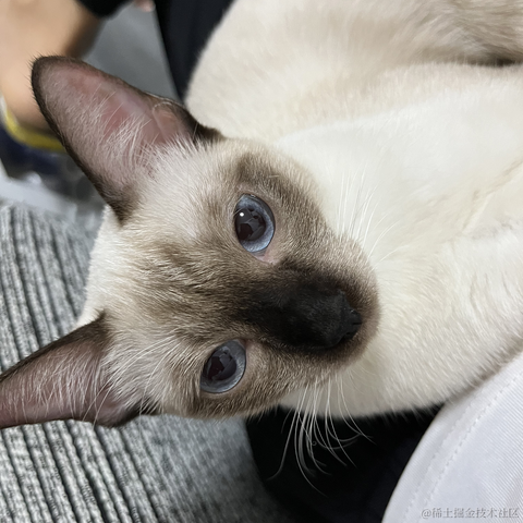 近战仙师于2022-09-20 10:49发布的图片