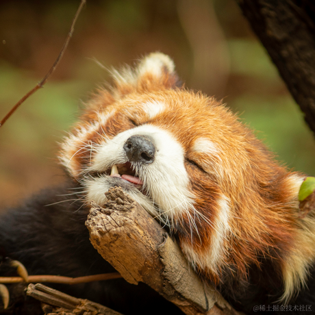 猫爬架于2021-08-18 10:39发布的图片