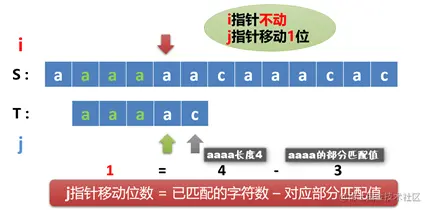 image-20210322105432854.png