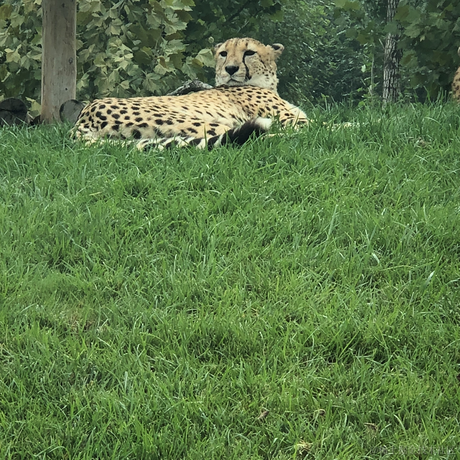 bigliuder于2020-12-14 22:41发布的图片