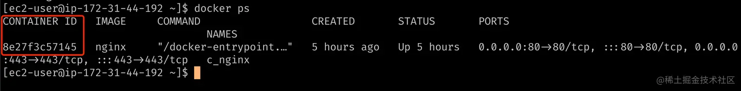 container-id.png