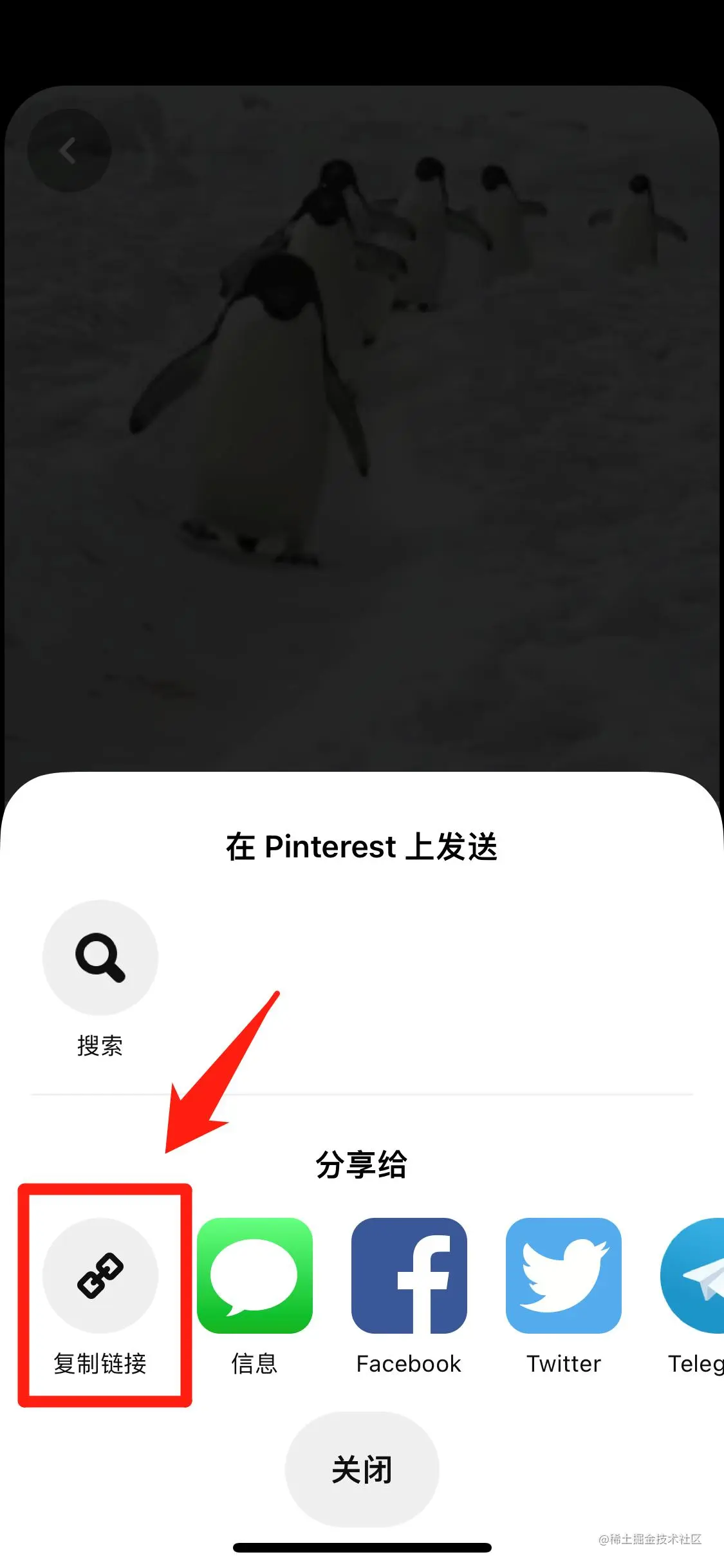 Pinterest 2.jpg