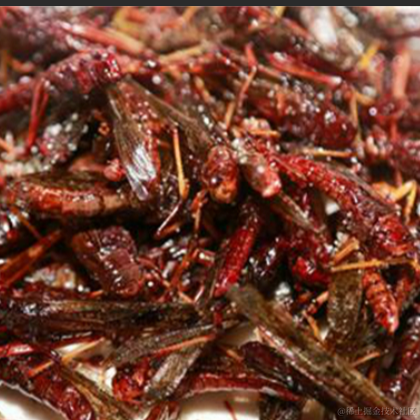 小菜g于2021-11-22 10:37发布的图片