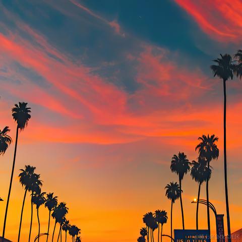 不挨揍的犊子于2023-08-22 10:55发布的图片