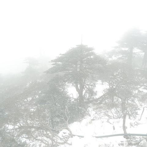 AAA加瓦咖啡批发老陈于2023-03-02 03:29发布的图片