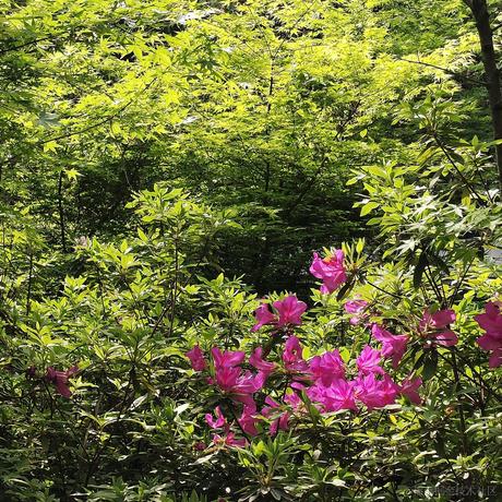 铸币小向晚于2023-06-27 07:08发布的图片