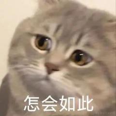 然比然比妈妈爱你于2022-12-19 13:49发布的图片