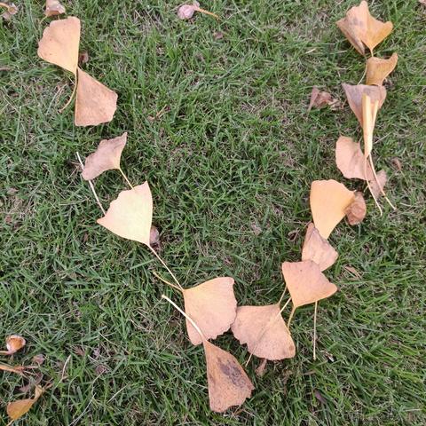 ava向晚大魔王于2022-11-12 09:55发布的图片