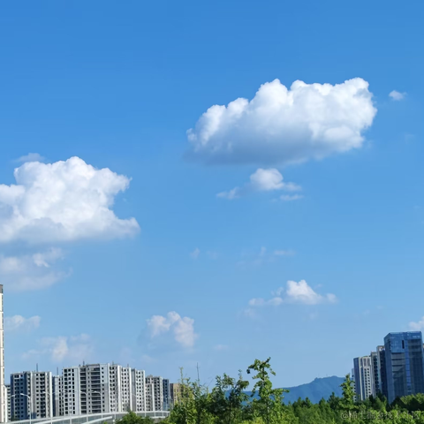 小李喜欢摸鱼于2023-08-08 16:39发布的图片