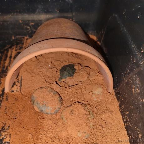 镰刀刮腋毛于2023-10-21 09:42发布的图片