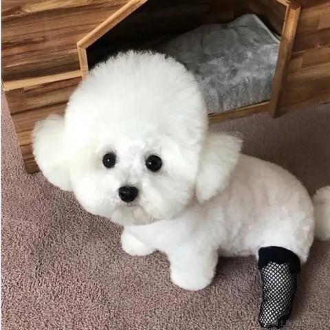 已注销于2021-03-19 09:22发布的图片
