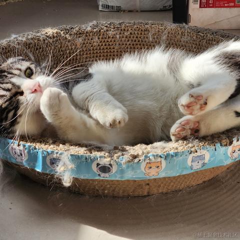 已注销于2023-05-17 08:47发布的图片