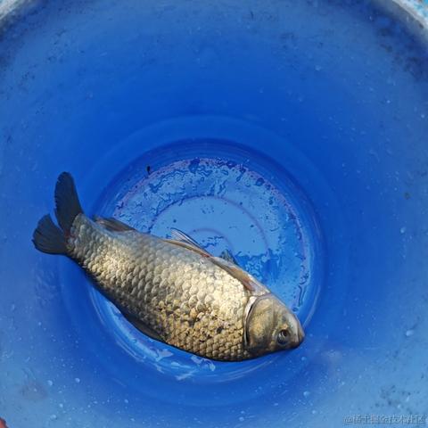 开不了囧于2024-05-01 09:57发布的图片