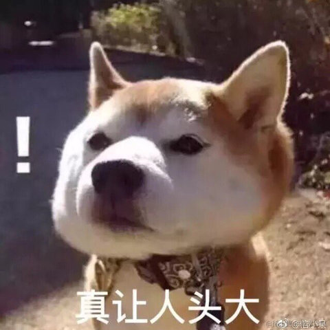 9997896于2021-11-23 11:25发布的图片