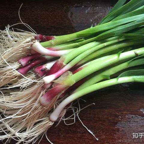 华森制药于2024-01-10 13:30发布的图片