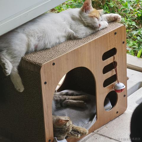 Yj家的孺子牛于2022-10-02 23:36发布的图片