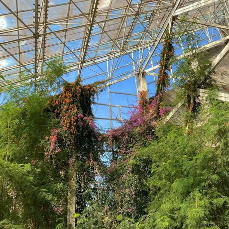 掘金齐天大圣于2023-05-27 20:56发布的图片